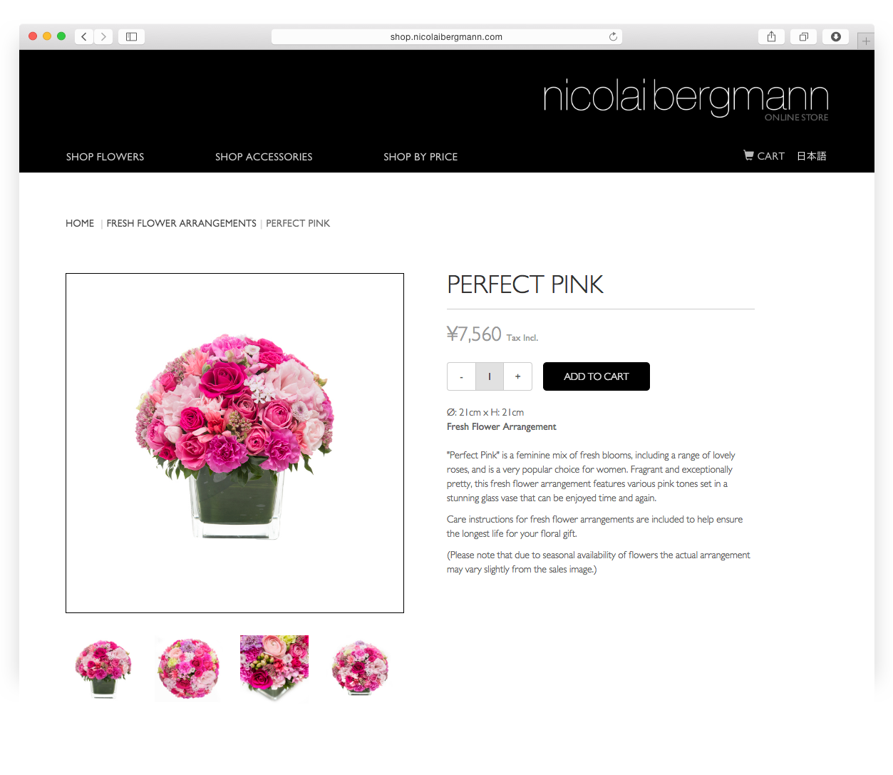 Nicolai Bergmann E-commerce store perfect pink